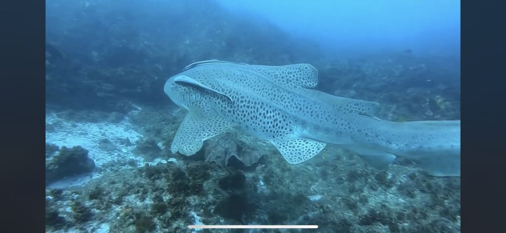 3963fa4e-a33f-43da-8710-25c939eb5320