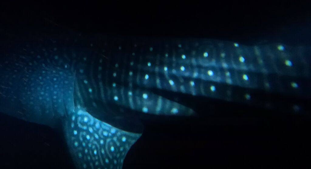 84f6c404-ea62-408d-8059-16099dc516f3