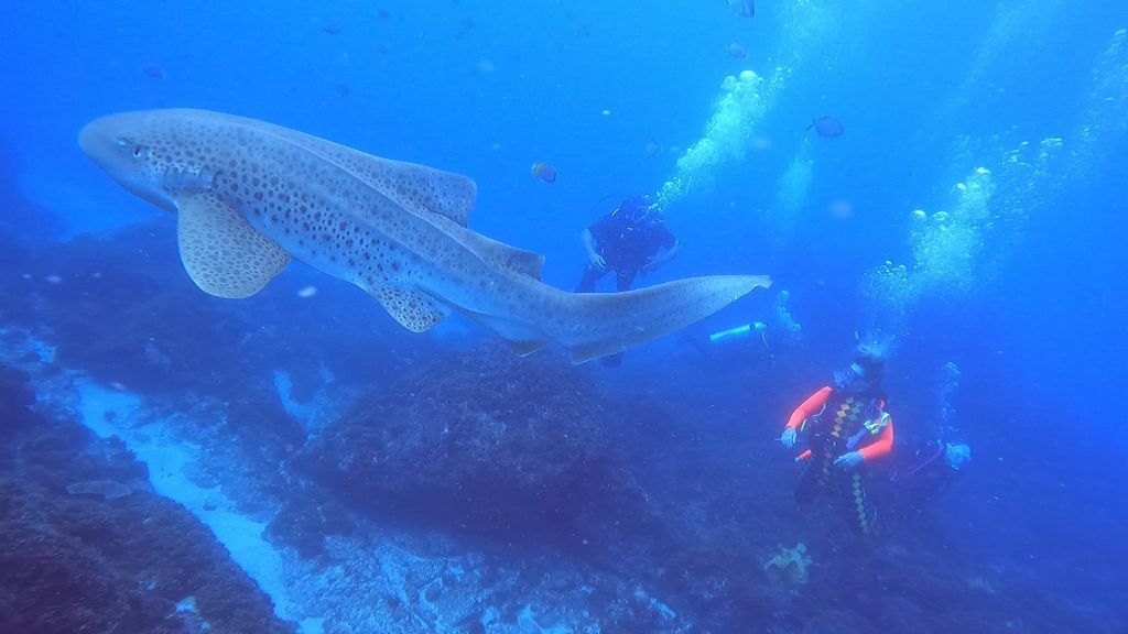 50e8d151-4727-4b3c-8077-206868efc5fe