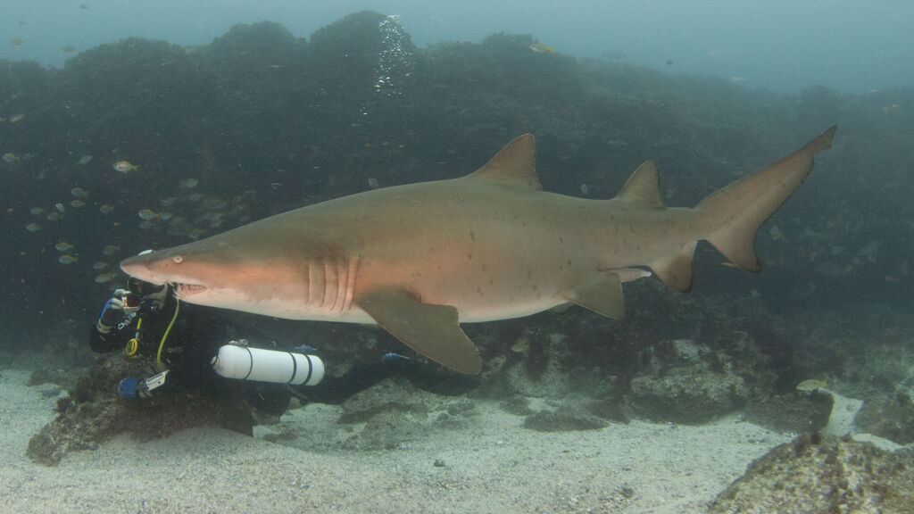 2e33645d-9b13-4719-a3d3-06babfbe96c8