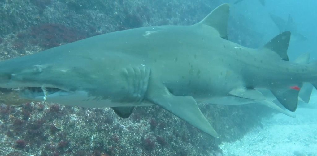 cb961dd2-47e4-4499-92da-a1e5d0a224f0