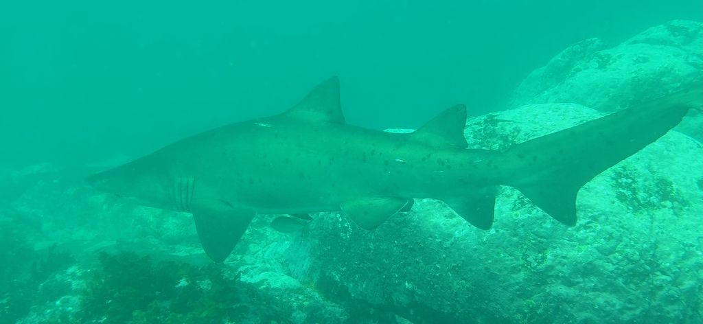 f3ce96e5-c783-4b47-8694-967fb9deb131