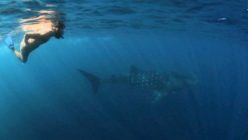 5a5c2315-65bd-4a36-8716-b17807cb4f9f