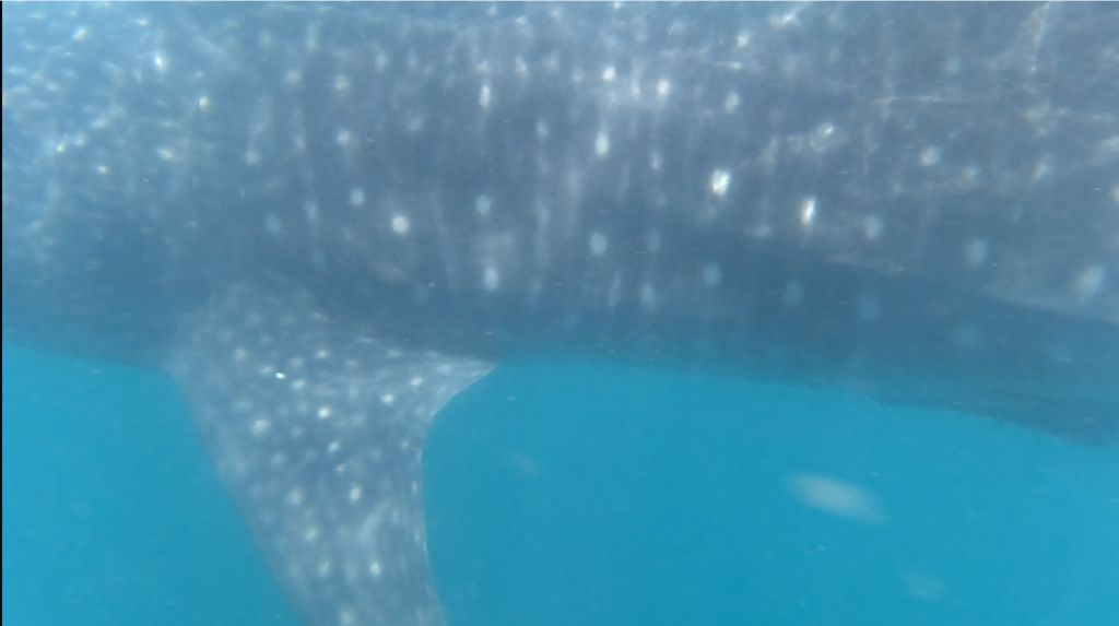 91c9de9c-a9f5-4ec6-9b0d-8214d8f054e2