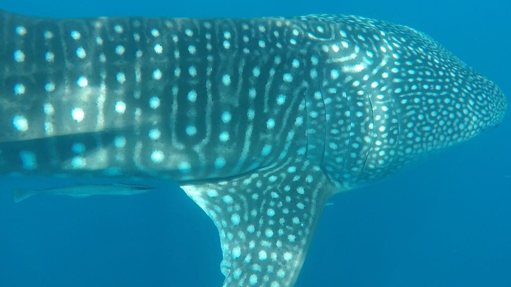 15db62cf-c496-4b23-9ae9-de29f35efc23