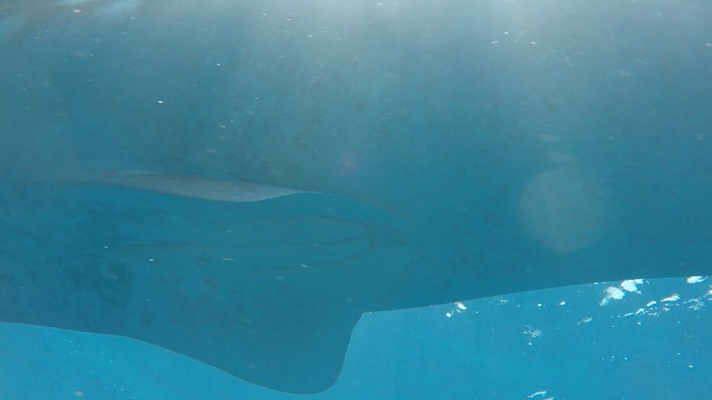 15db62cf-c496-4b23-9ae9-de29f35efc23