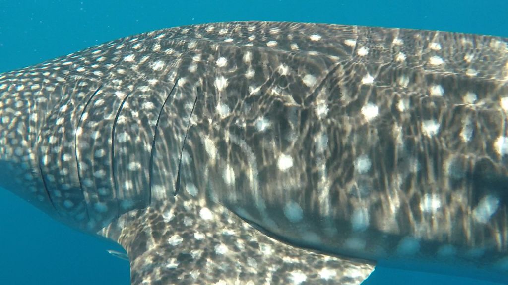 15db62cf-c496-4b23-9ae9-de29f35efc23