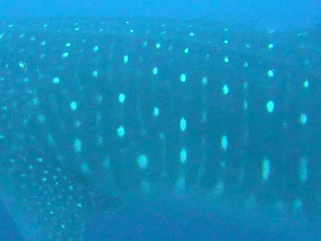 76185e7e-5f47-4916-b97d-2c9a978e1815