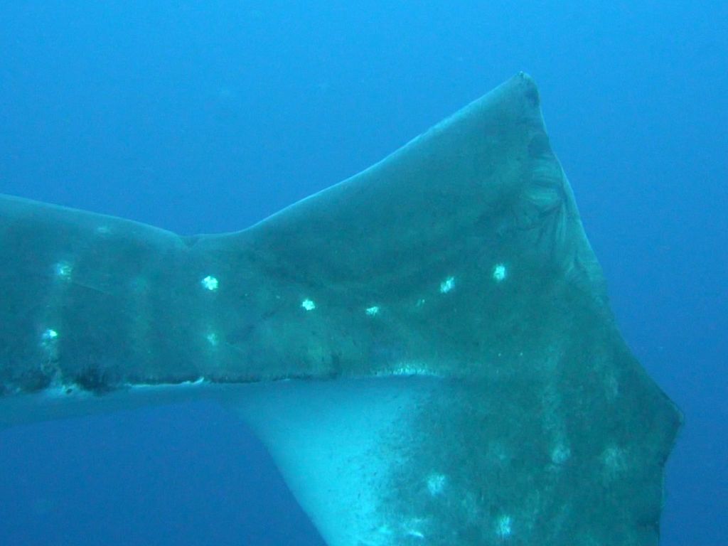 76185e7e-5f47-4916-b97d-2c9a978e1815