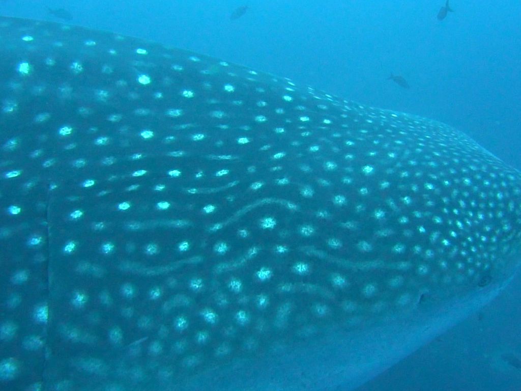 76185e7e-5f47-4916-b97d-2c9a978e1815