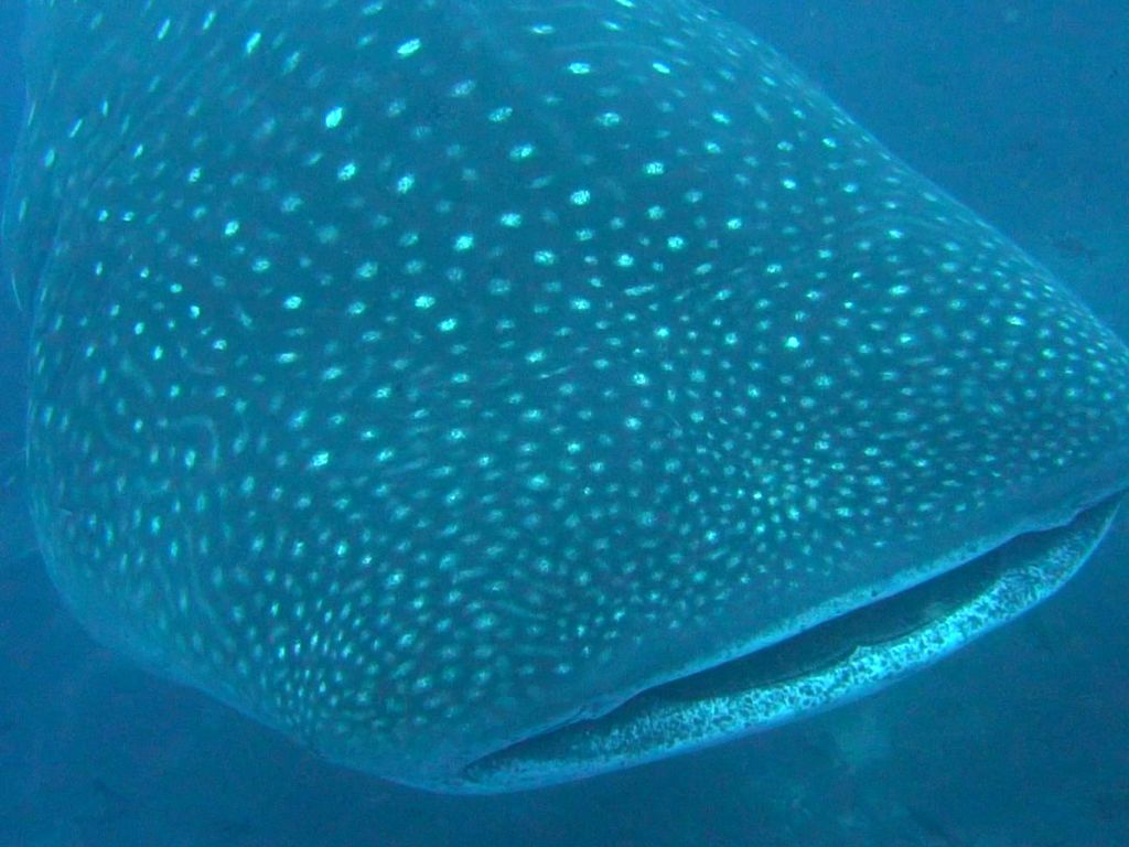 76185e7e-5f47-4916-b97d-2c9a978e1815