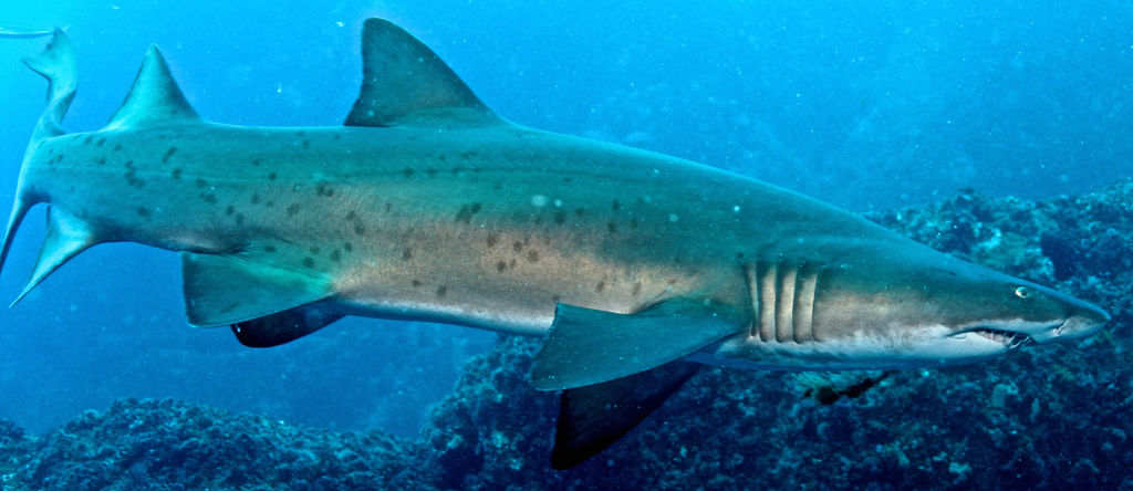 6f48d1c2-5870-4832-a177-a02ae62b2bac