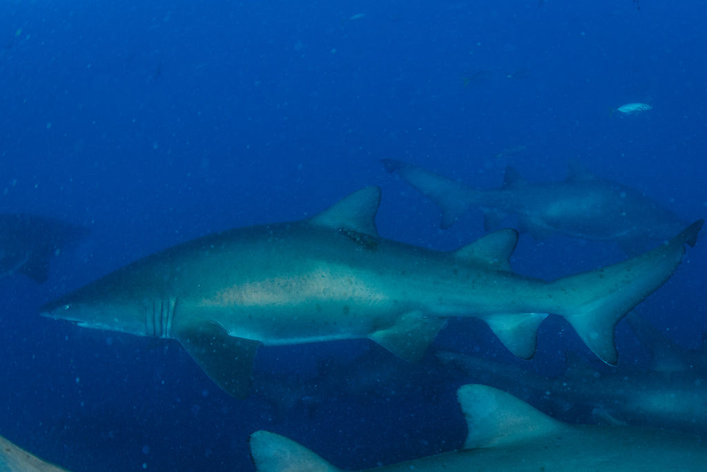 9b8a010b-0e37-4dc9-9a6b-73bfd0e7a2e8