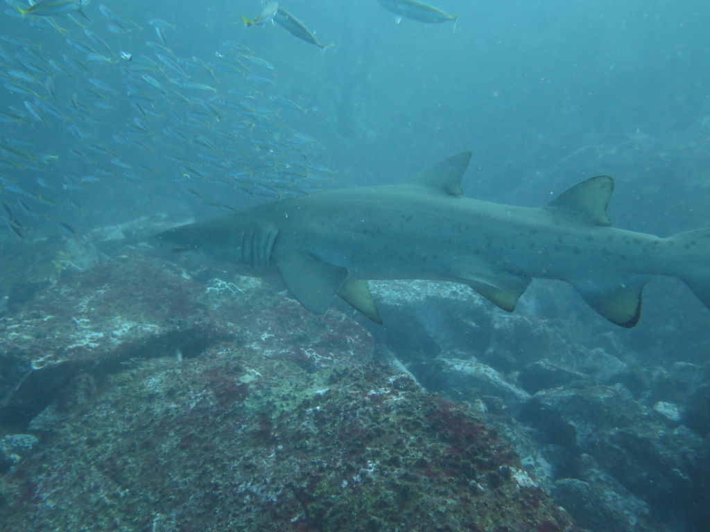 60ee7723-b34a-4392-b5e4-6017323fddf9