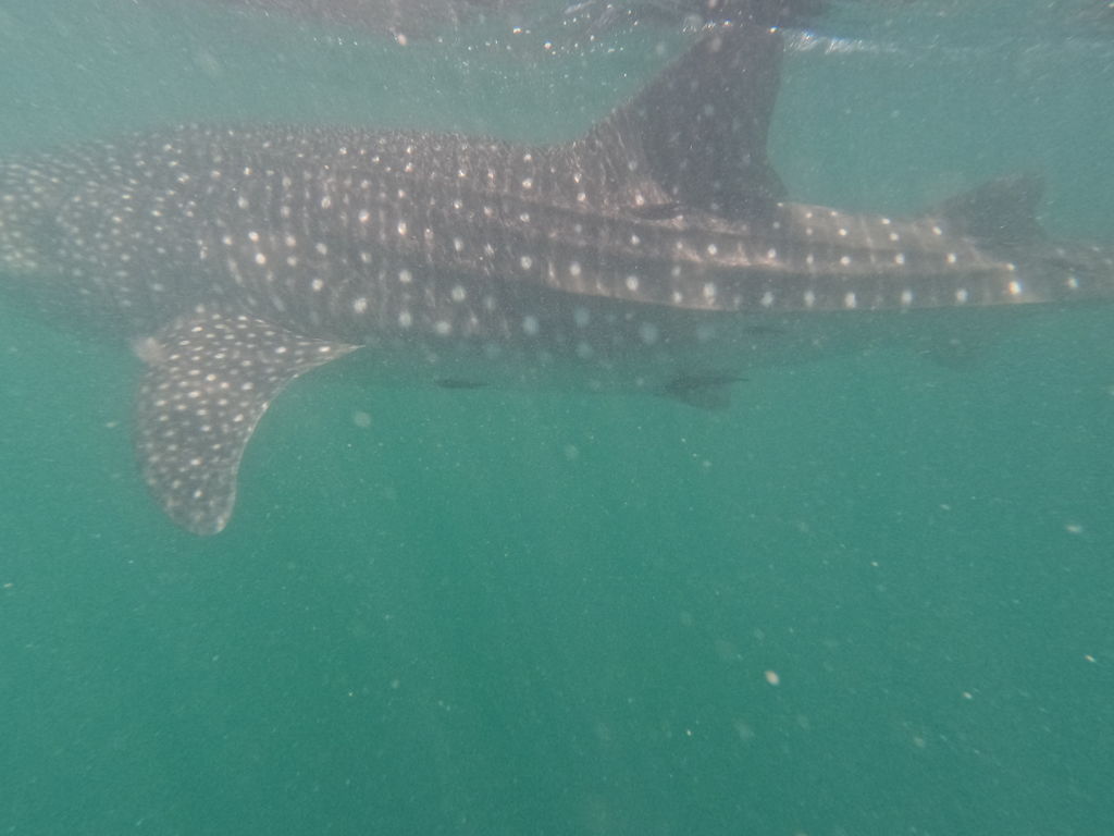 823bed3b-fd16-4bc4-a702-81d87e3bf7ab