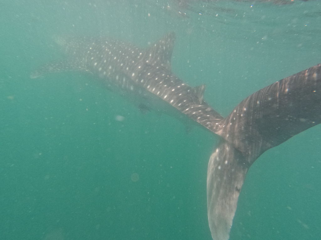 823bed3b-fd16-4bc4-a702-81d87e3bf7ab