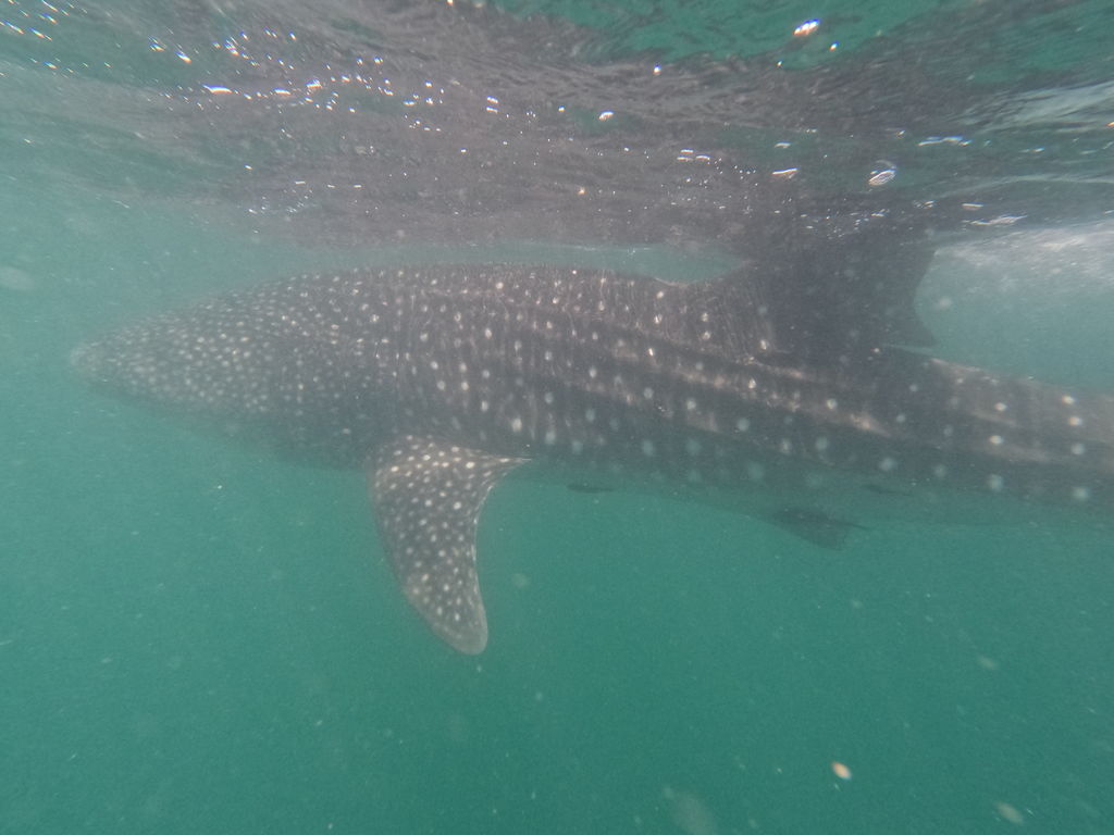 823bed3b-fd16-4bc4-a702-81d87e3bf7ab