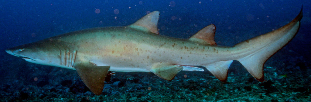 b753cf67-be87-4025-b9bf-4db317bbd706