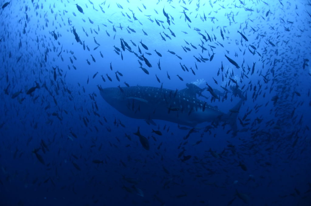 19c7544f-7991-45f0-a503-201b050aeed7