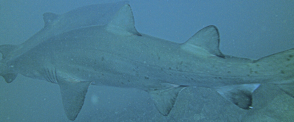 33dc2289-2fe9-4de3-bbeb-900c7402f451