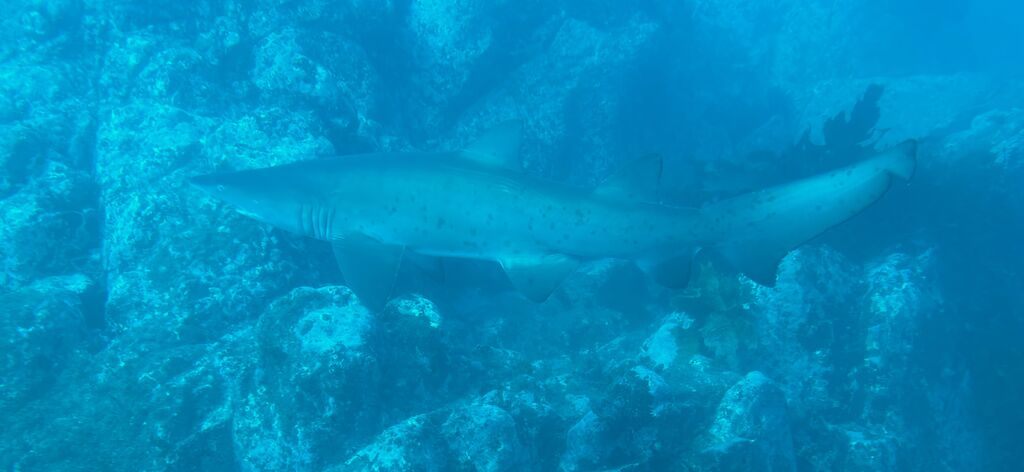 c89e8605-6eb1-4479-a16d-7058a49caa9f