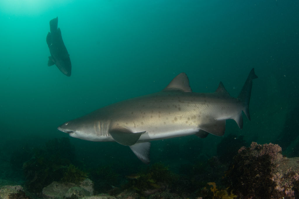 4731e8f1-b78b-4b50-9bdb-2109d85fca07