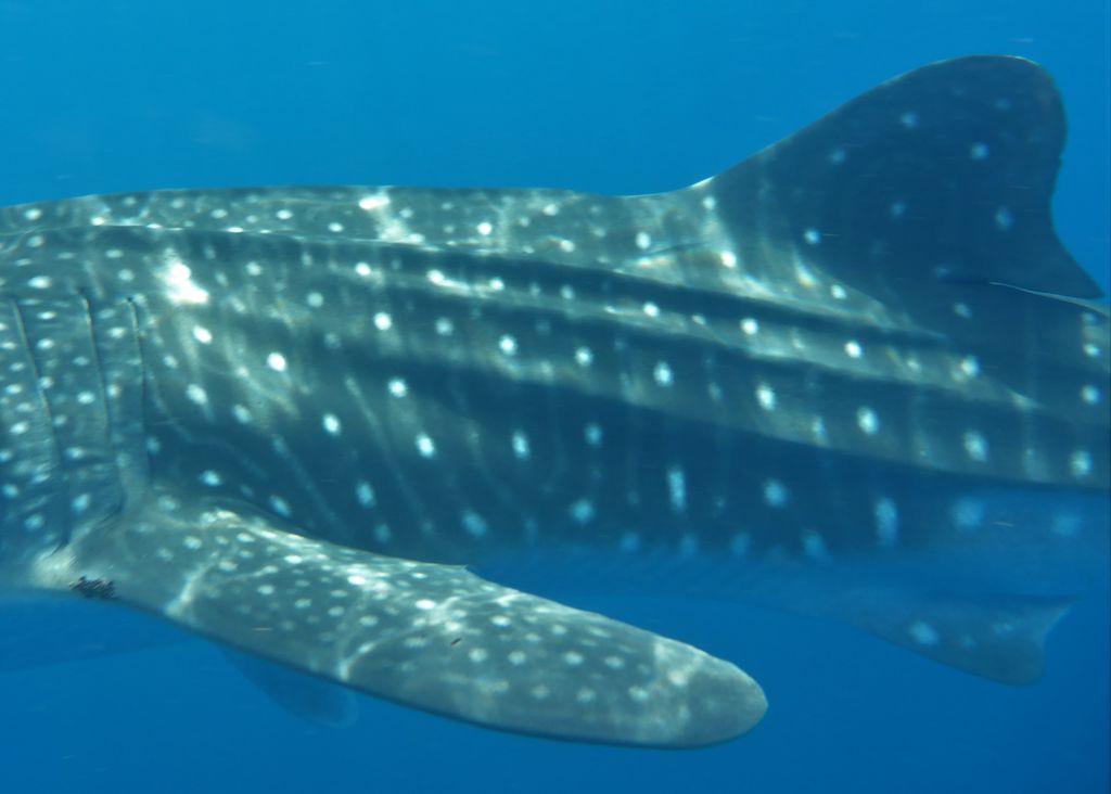 3dd3c62a-5671-4d7c-9449-ce5fe7f5548a