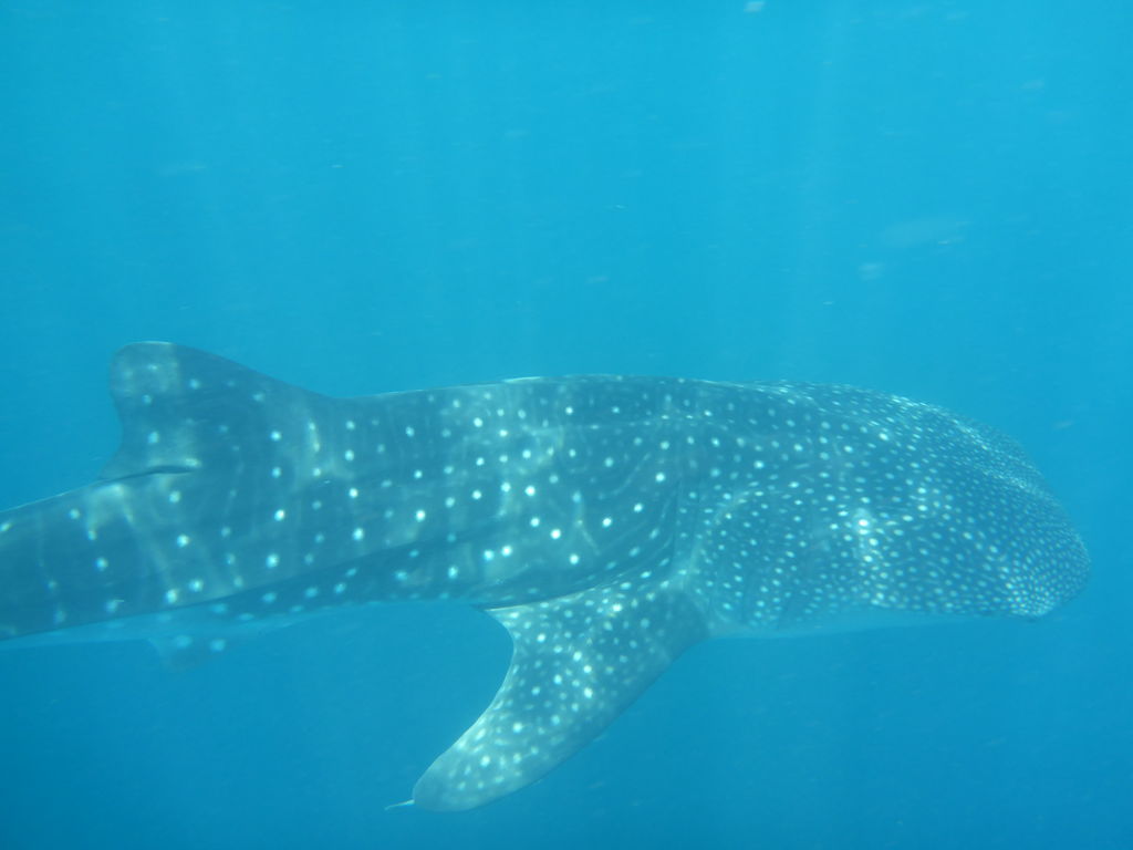 3dd3c62a-5671-4d7c-9449-ce5fe7f5548a