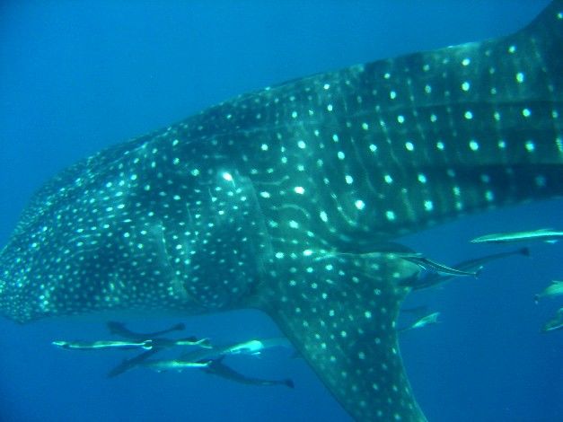 3efafac2-b50e-47e0-a9a2-c16b184b8701