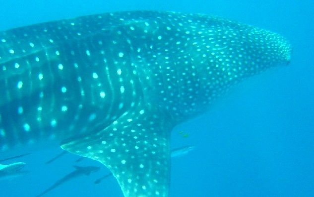 3efafac2-b50e-47e0-a9a2-c16b184b8701