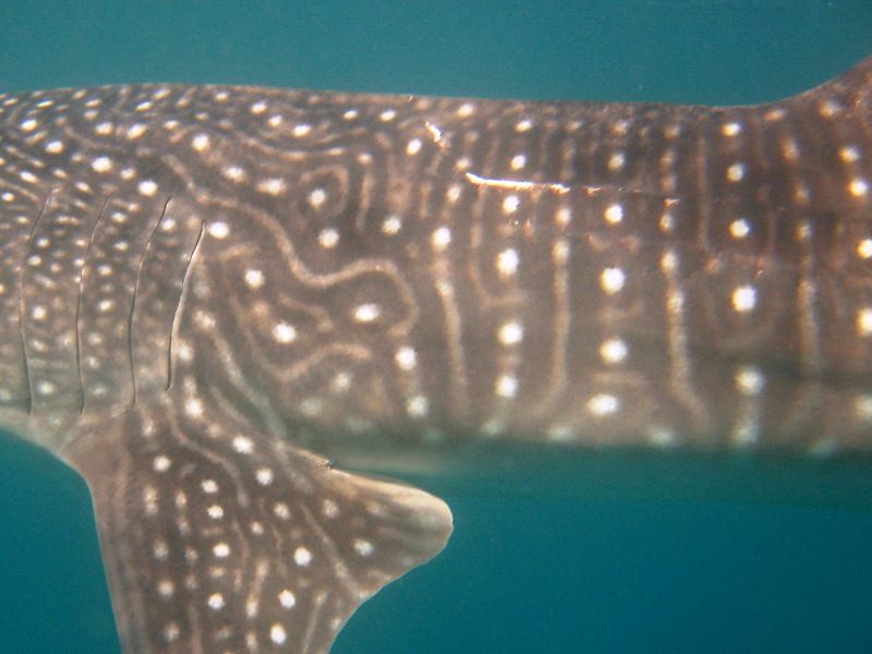 89a3af34-d975-4729-8060-17bed8a7298b