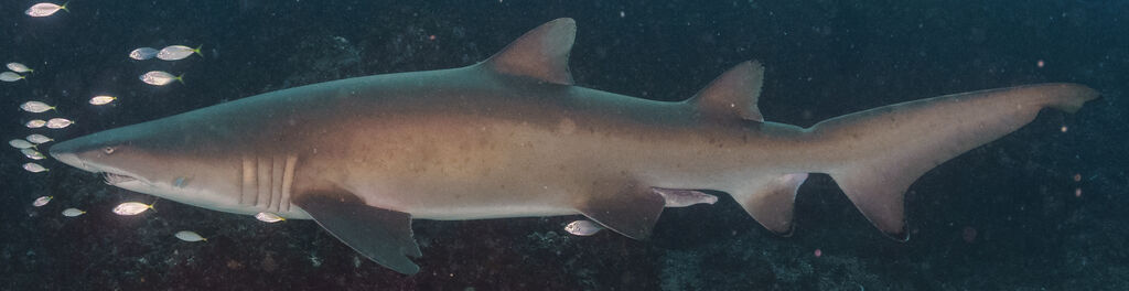 1fa051fd-0834-4f8f-b404-b950413a858e