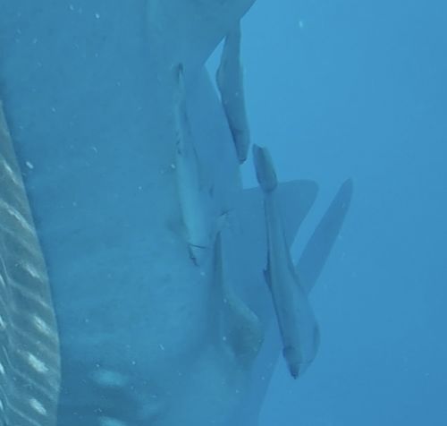 b8909867-f8c0-4d51-bbac-b4a9849f4746