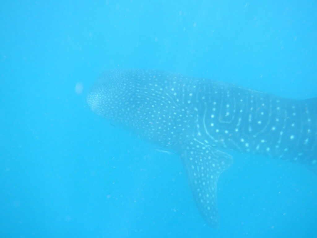 8190b8c5-c25a-4503-84b0-4c490ecf3a98