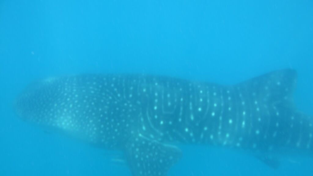 8190b8c5-c25a-4503-84b0-4c490ecf3a98