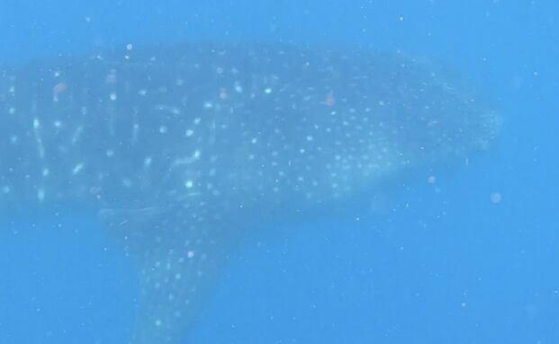 8190b8c5-c25a-4503-84b0-4c490ecf3a98