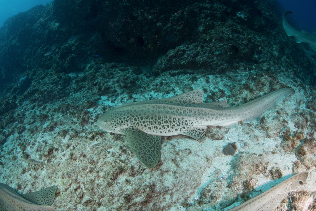 4e37243e-30ca-4516-bd38-5dd6606759e9