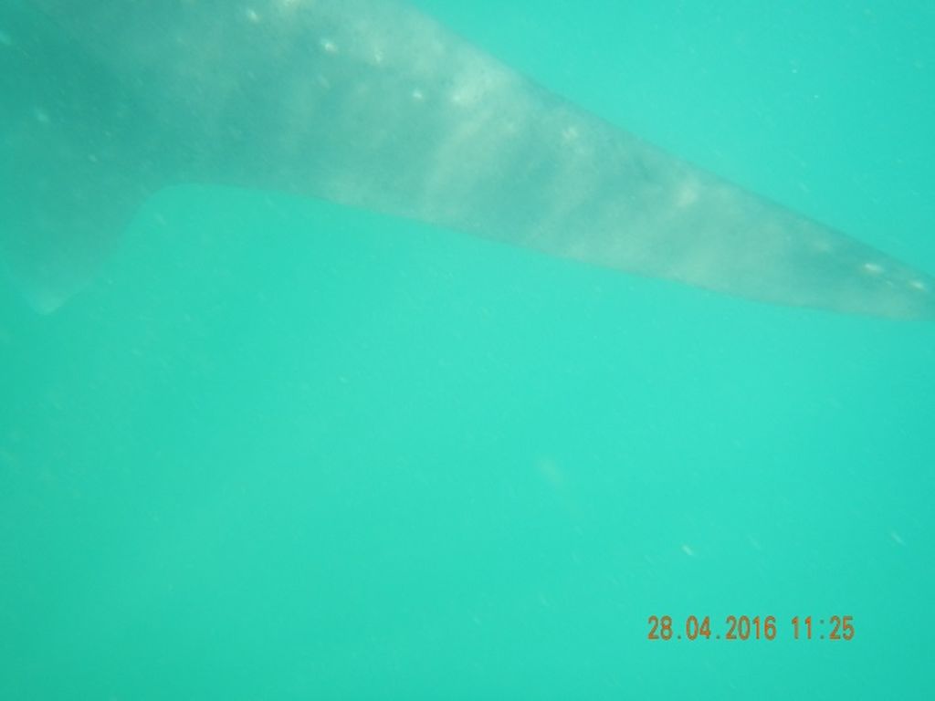 39dc6620-1eb5-4160-acaa-66c5130932a0