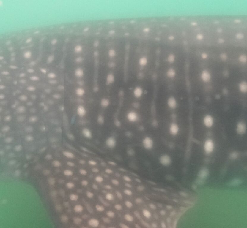 b110d133-4574-4e4e-98f9-cc4164651e3f