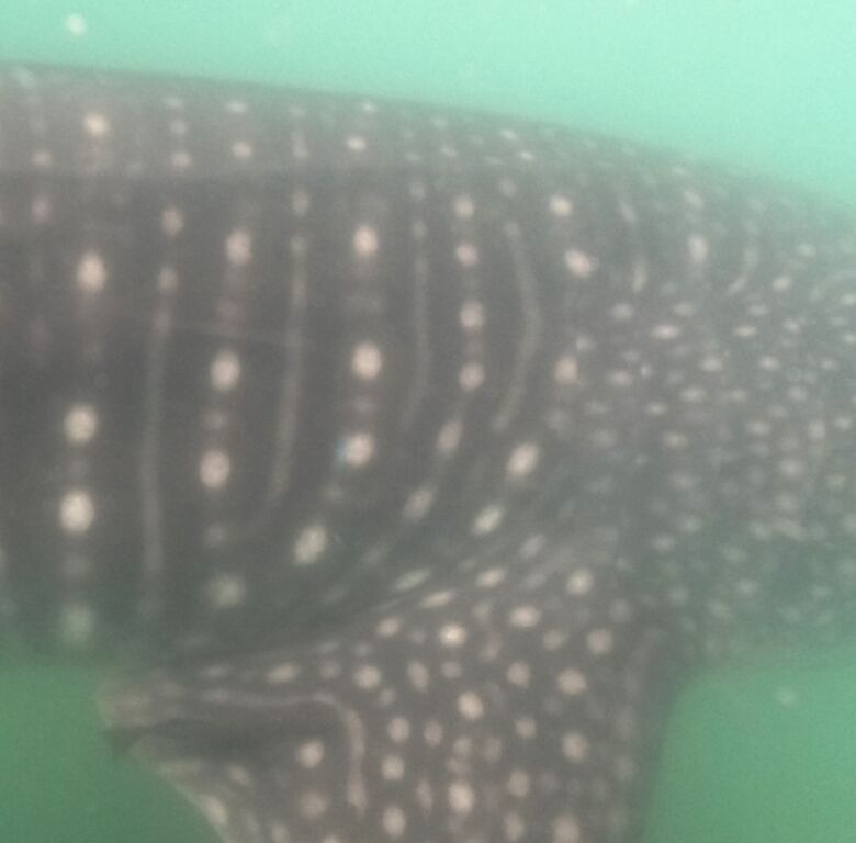 b110d133-4574-4e4e-98f9-cc4164651e3f