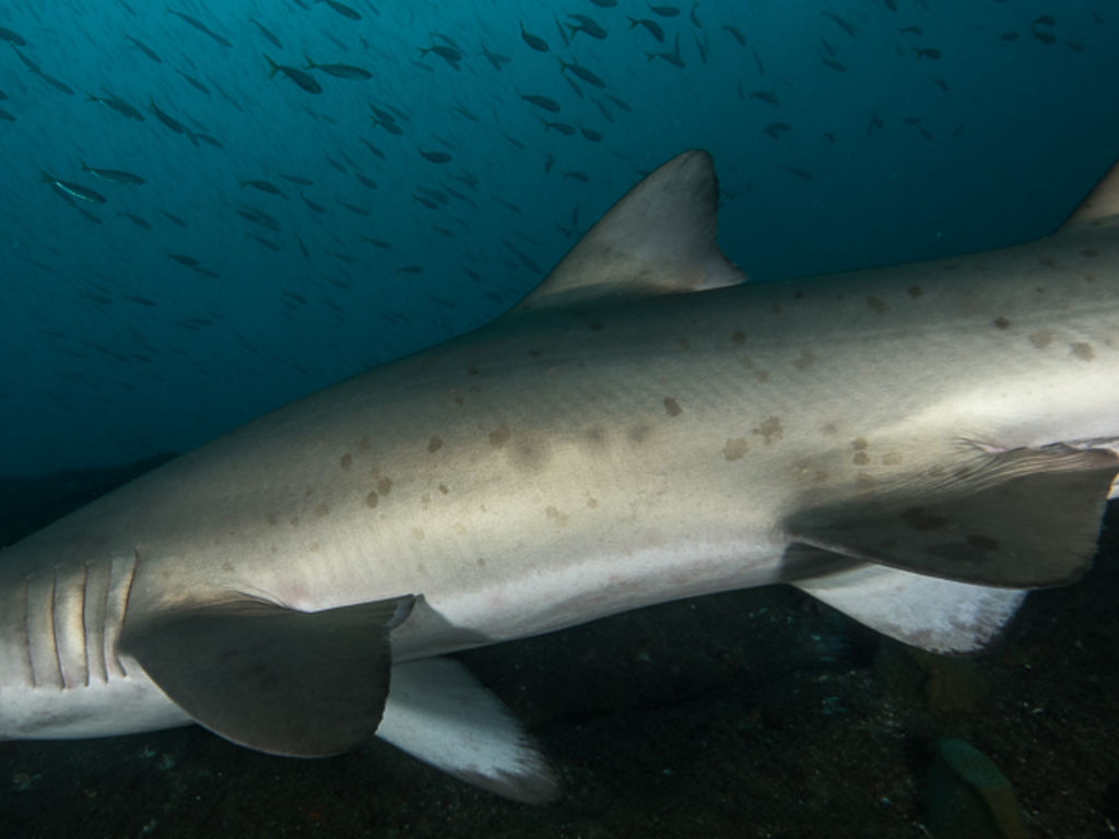 886e36b0-328e-496e-8da6-6f3c76ba0c91