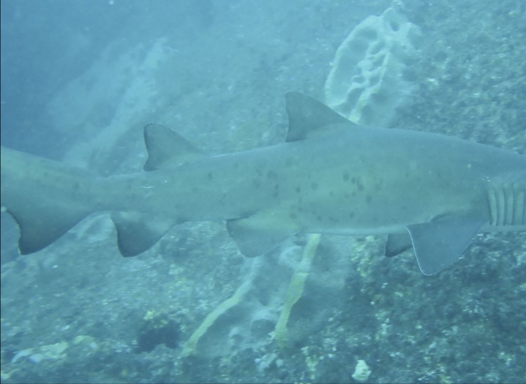 82a33298-e55c-4a5b-bd5c-6b86f99e53cd