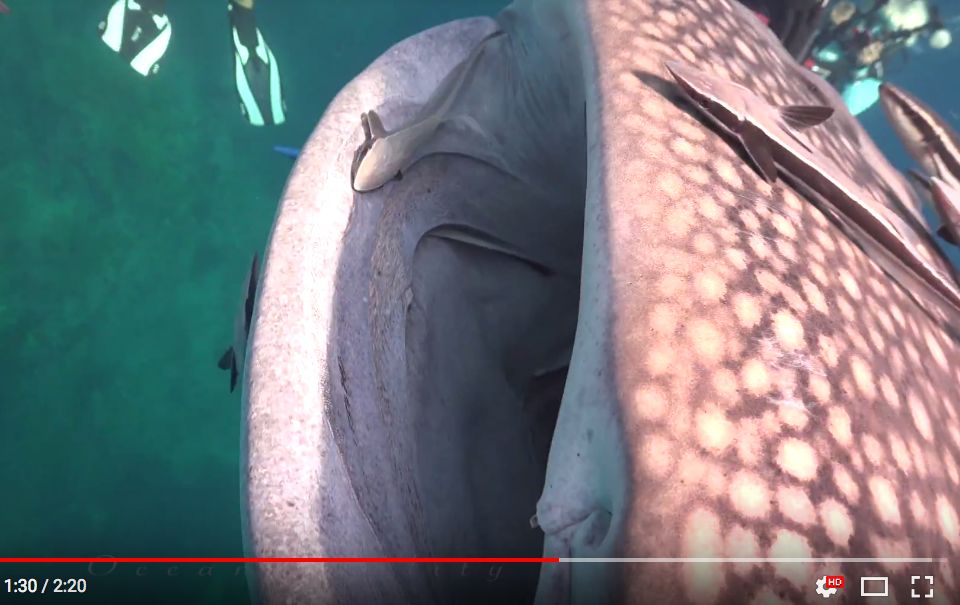 ed150060-c5ed-45b1-86b0-26cc3f75f947