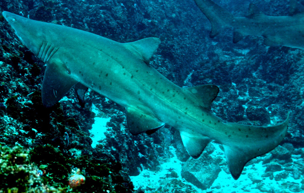 3a72ee55-02ee-45b7-aec3-30a66aaa6458