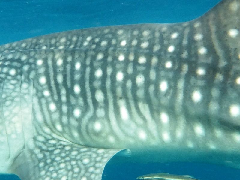 ad05f91d-ff54-47b5-b8b0-51d4800c0ea4