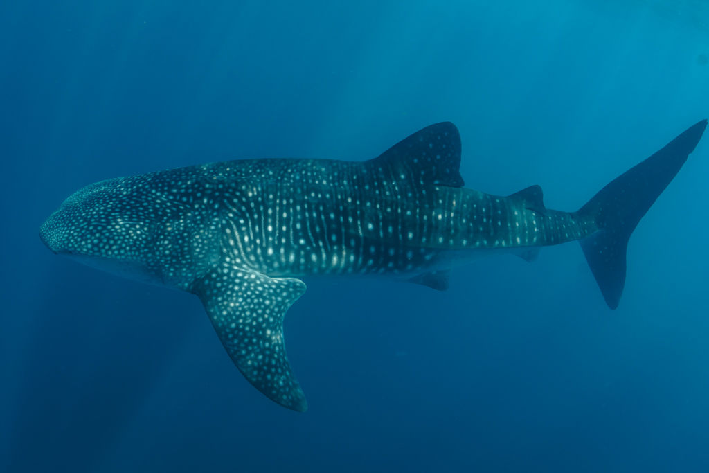 6e2c4c56-e085-4af0-8e42-756c1ed411ed