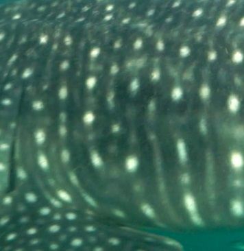 fba30463-4058-40bd-8929-bc4aefac91d9