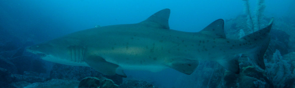 35f51a25-55f6-43d2-92ab-c0a958d22e55