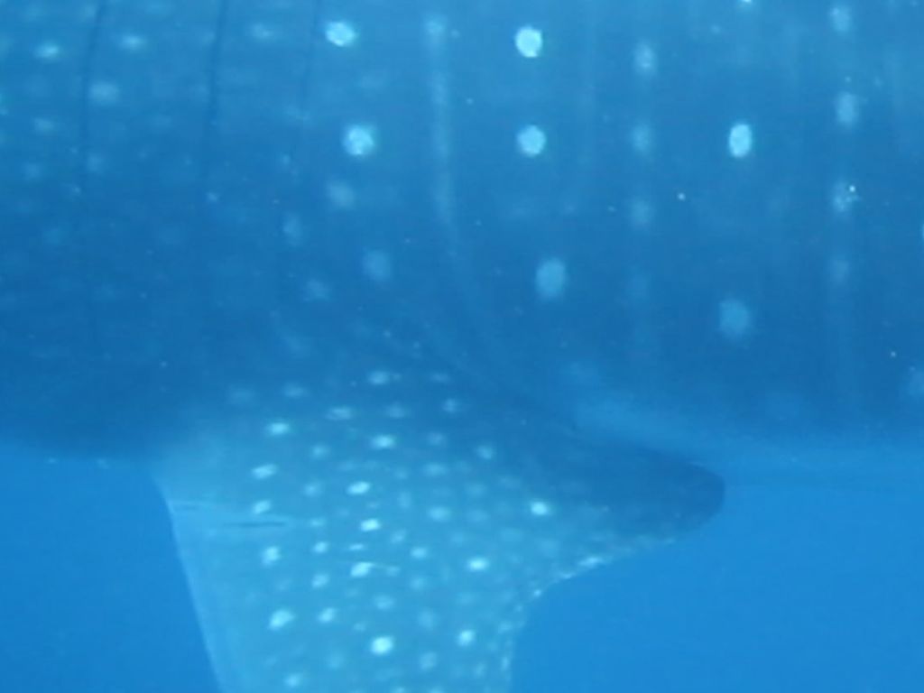 4898dcef-d873-4b53-becc-dfcc1607f191