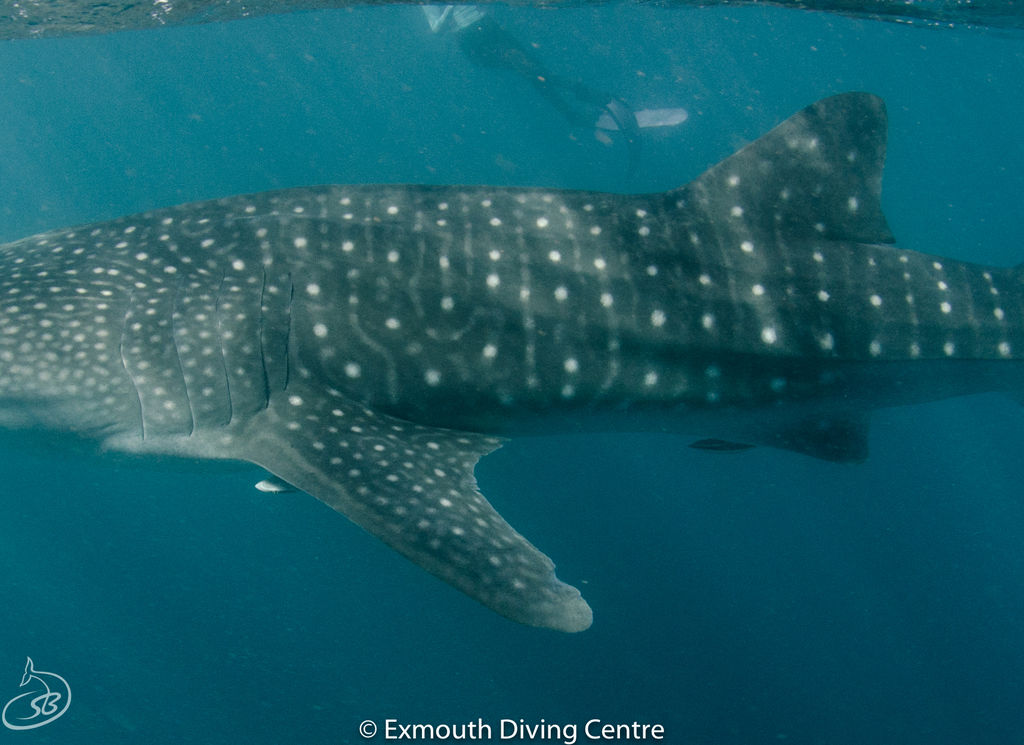 96cb8443-910f-4982-a39d-2e378941862b